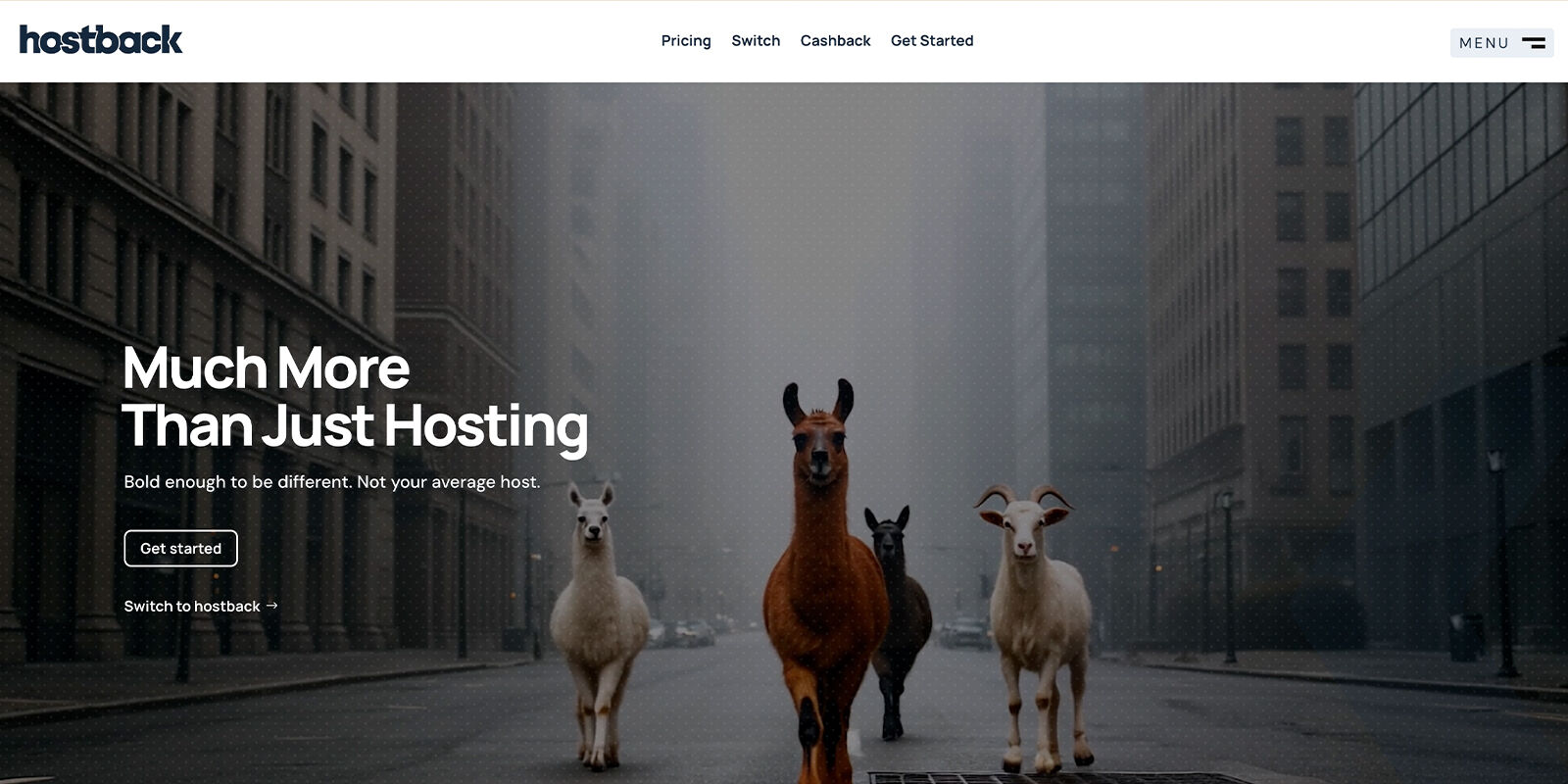 Hostback marketing website