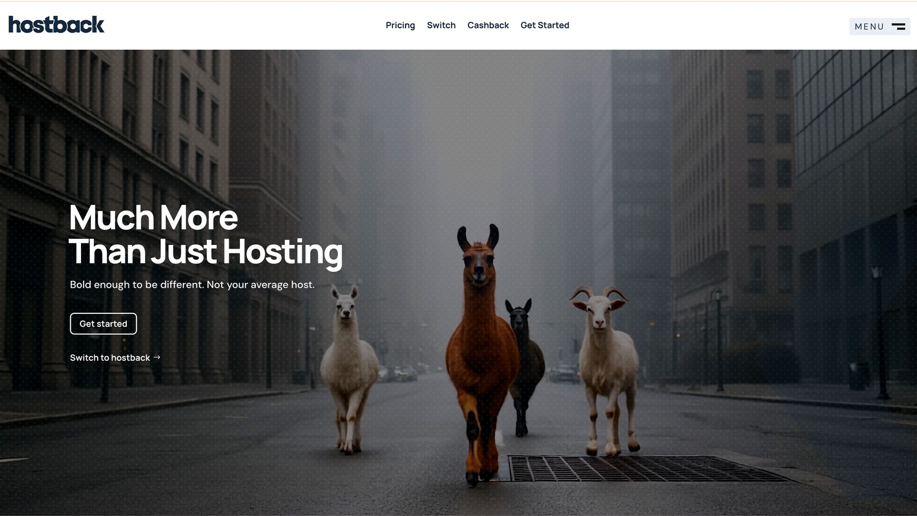 Hostback marketing website homepage